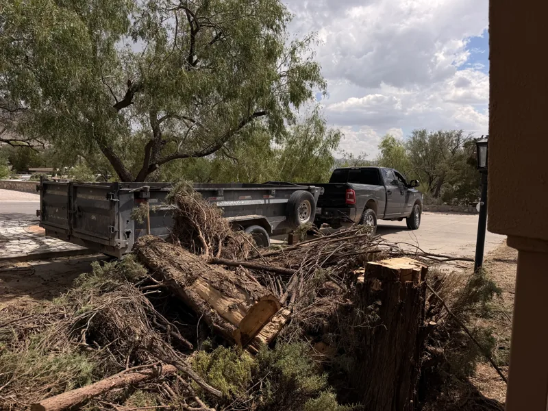 Felled tree cut into sections in a driveway, dump trailer backed in behind it